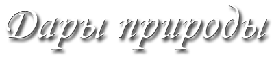 фітофармацевтика